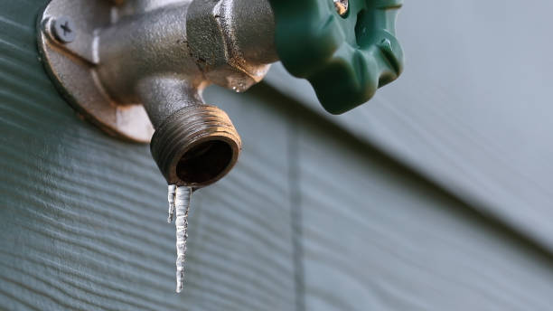 Professional Plumbing in Brilliant, AL